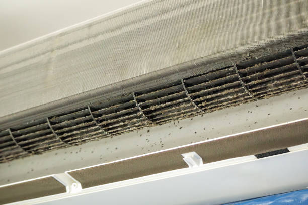 Best Affordable Air Duct Cleaning  in Faxon, PA
